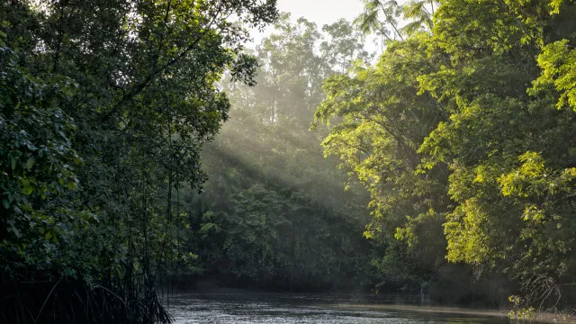 
                    Biodiversidade em 36% dos habitats pode desaparecer devido ao clima até 2085
                
