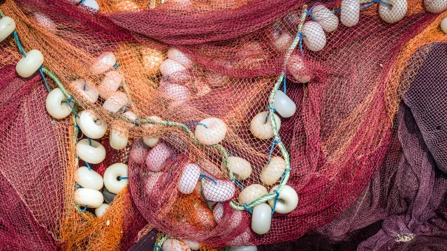 
                    Tânia decidiu ser pescadora quando o filho completou 10 anos
                