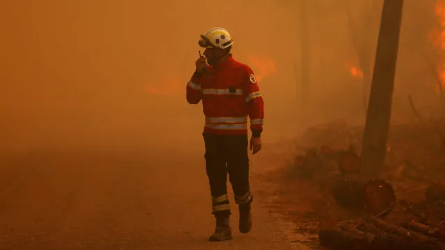 Quatro meios aéreos e 120 operacionais combatem fogo em Arcos de Valdevez