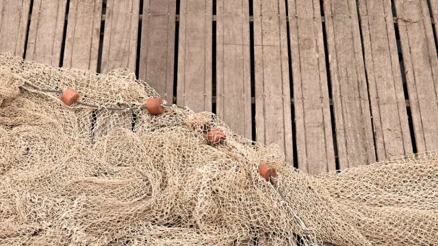 
                    Depois dos festivais de verão nem tudo o que vem à rede é peixe
                