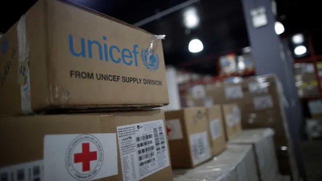 
                    Unicef Portugal defende verificação de violência doméstica em consultas
                