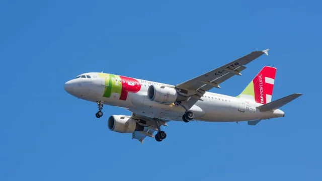 TAP. Sindicato alerta Governo para idoneidade laboral da Lufthansa