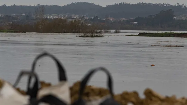 
                    Ministra do Ambiente rejeita proposta para bacia do Mondego
                
