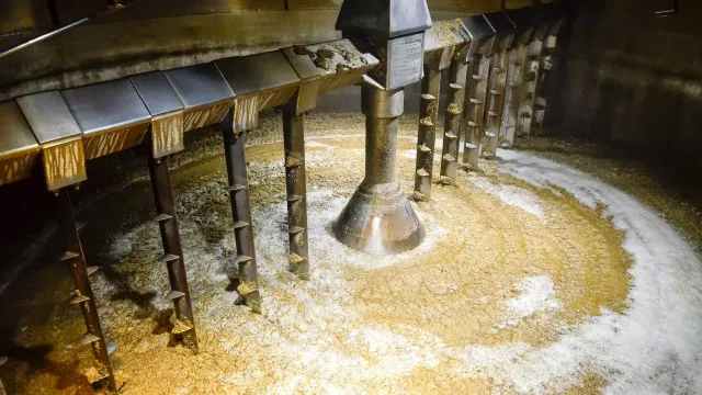 
                    Setor cervejeiro sustenta mais 170 mil empregos e representa 2,5% do PIB
                