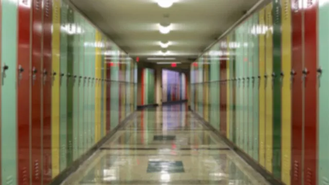 
                    Escolas dos Açores abertas hoje e no domingo para consulta das provas
                