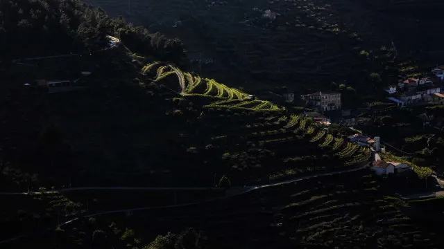 Viticultores do Douro marcam concentração para 7 de agosto na Régua