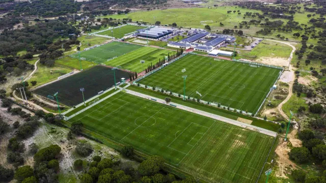 Sporting reafirma confiança na formação: "Nenhum outro clube nacional..."