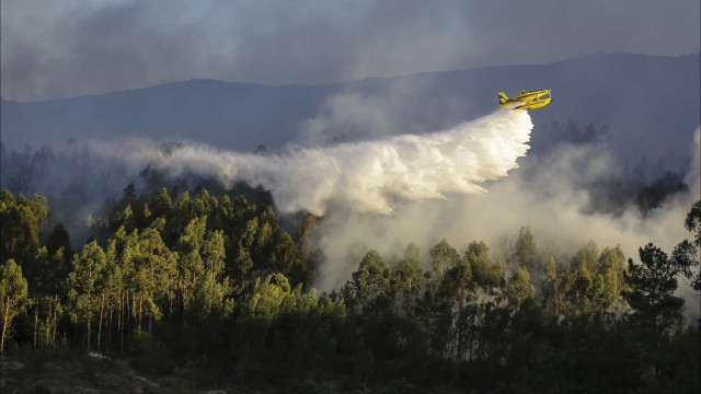 Queda de helicóptero é acidente mais grave neste tipo de operações