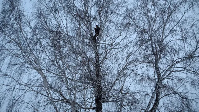 Avalancha soterra seis pessoas em mina de ouro na Sibéria