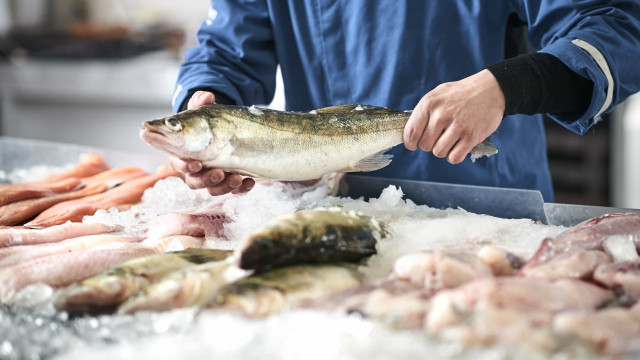 Produto que mais encareceu fica na peixaria (e não, não foi bacalhau)