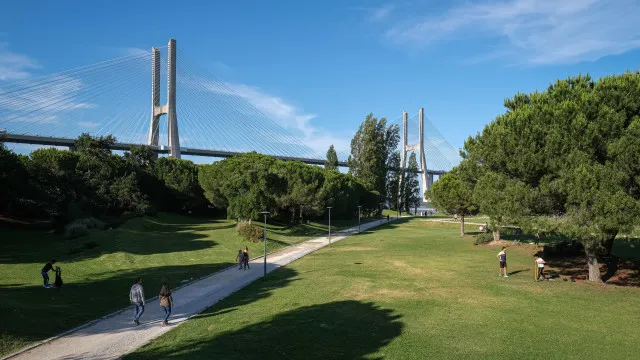 
                    Ter mais natureza e menos alcatrão 