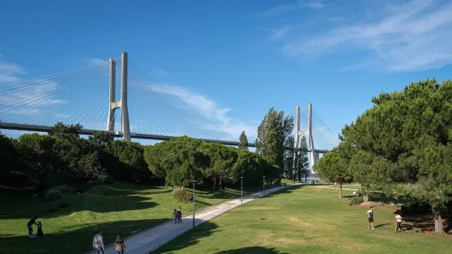 
                    Agride e ameaça para roubar auriculares no Parque das Nações. Foi detido
                