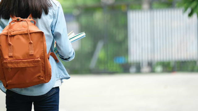 Abono de família ou bolsa? Prova Escolar deve ser efetuada este mês