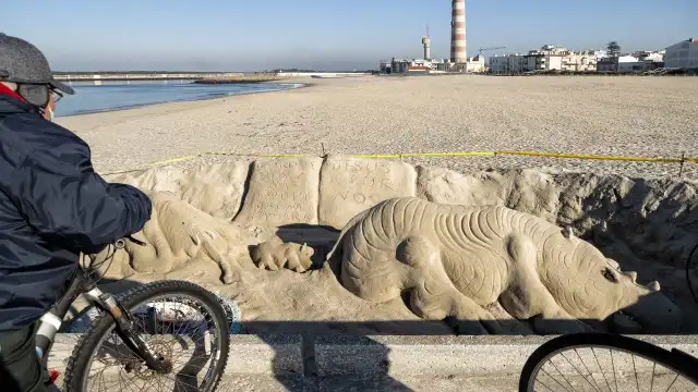 Encontrada parte de corpo "em decomposição" junto à praia da Barra