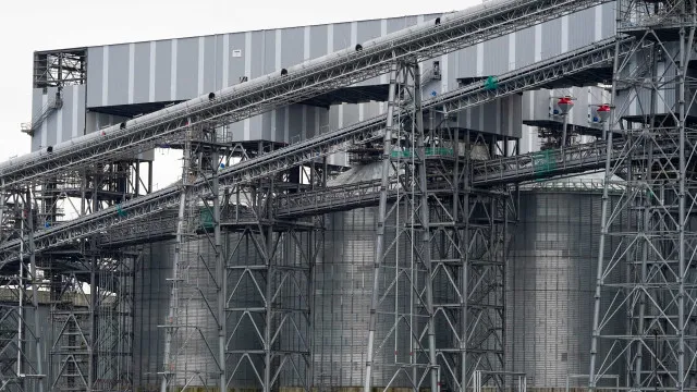 Quercus pede fim dos subsídios à queima industrial de biomassa