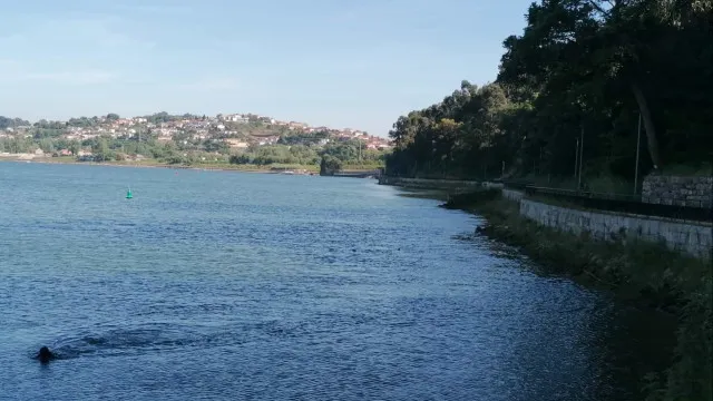 
                    Jovem desaparecido no rio Douro no Porto encontrado morto
                