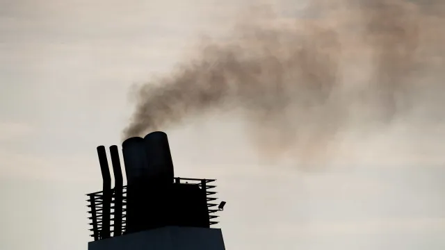 
                    Conselho para Saúde e Ambiente defende resposta que integre as duas áreas
                