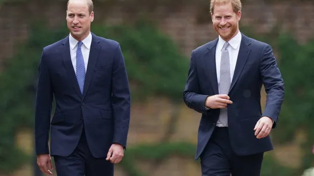 
                    William rejeita projetos sobre Diana por medo de conflito com Harry
                