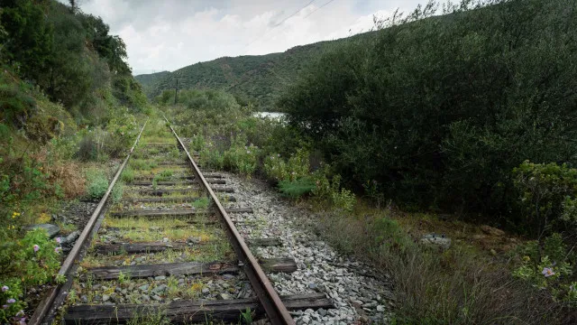 
                    IP quer substituir duas pontes que restringem locomotiva a vapor no Douro
                