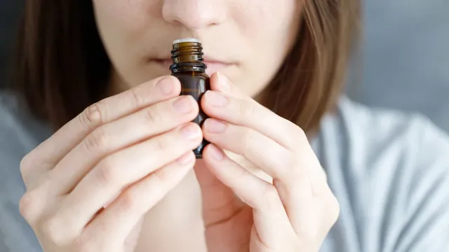 
                    Cientistas criam o primeiro 