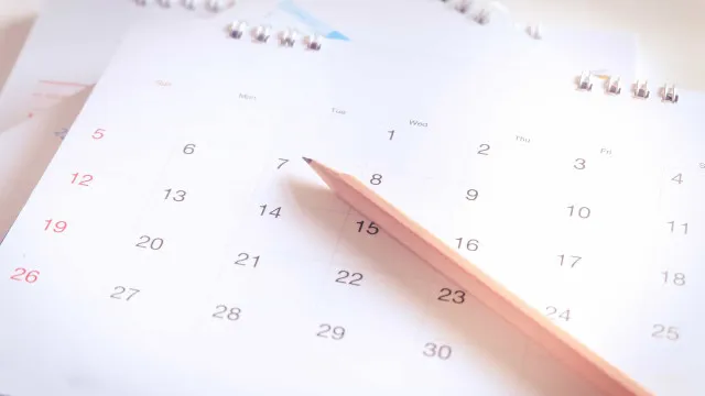 
                    Explicador da semana. Quando são pagos os subsídios em novembro
                