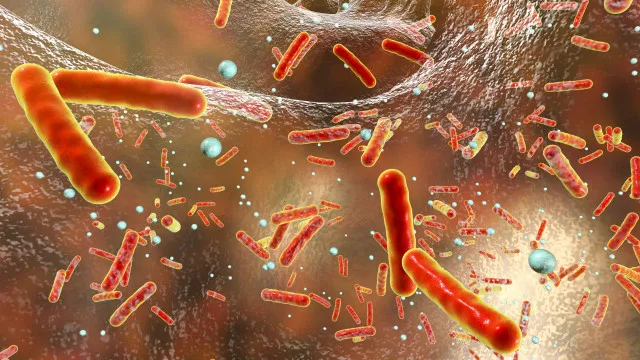 Parlamento recomenda terapia contra bactÃ©rias resistentes em Portugal