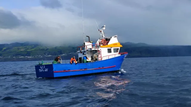 Governo dos Açores compensa armadores com 3,2 milhões de euros