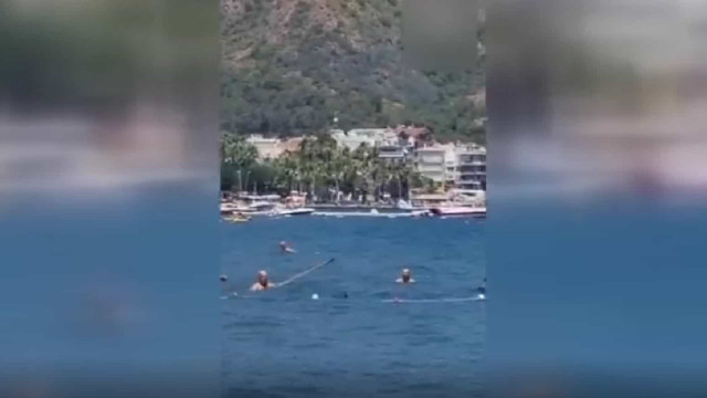 Turquia. Turistas tentam afastar 'tubarão'… com uma esfregona