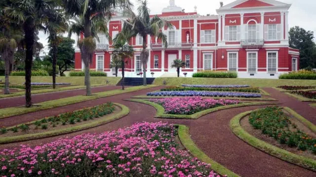 
                    Morte de tubarão? Em curso processo de averiguações, diz governo açoriano
                