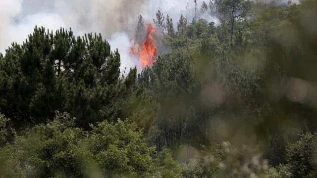 
                    Dominado incêndio florestal que deflagrou em Ovar
                