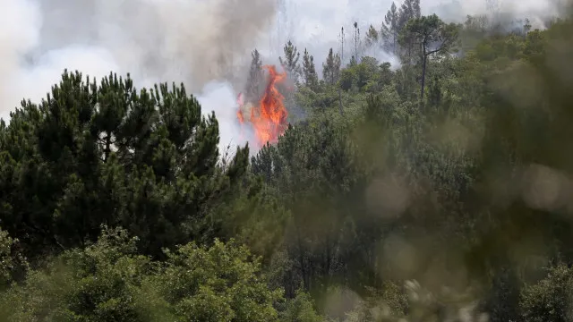 IncÃªndios: Mais de cem operacionais combatem fogo em Aveiro