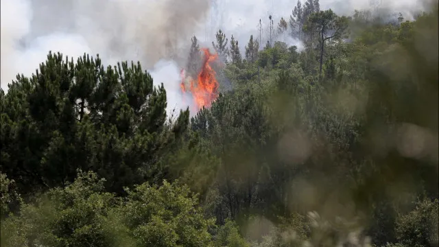 
                    Fogo em Mirandela em fase de resolução
                