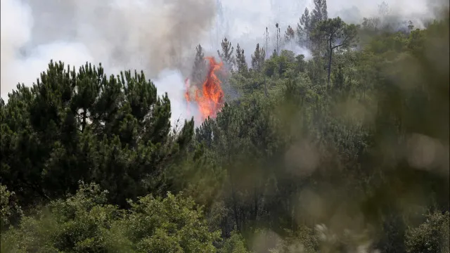 Quinze concelhos de cinco distritos em perigo máximo de incêndio. Quais?