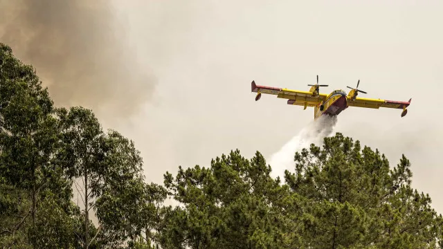 
                    Fogo que começou em Vouzela mantém pelo menos cinco frentes ativas
                