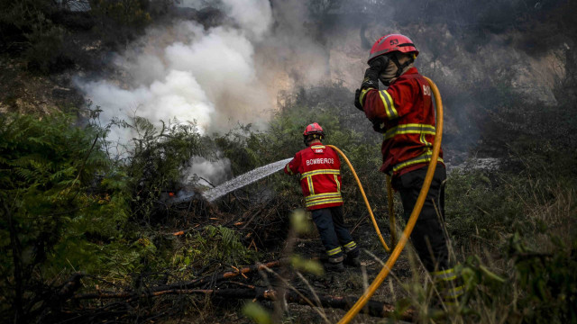 Duas das três frentes de fogo em Oliveira de Azeméis ainda ativas