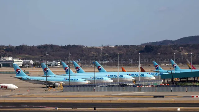 Companhia Korean Air proíbe galos a bordo dos EUA para as Filipinas