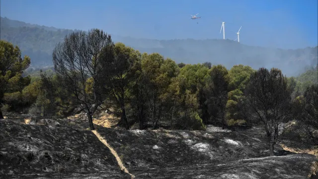 
                    Fogos mais intensos na Europa e América do Norte mas área queimada diminui
                