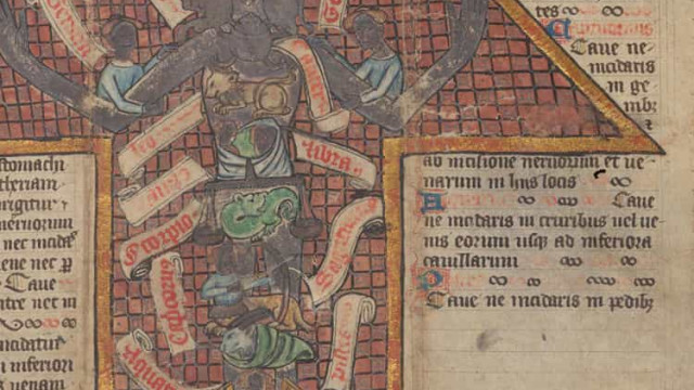 Manuscritos revelam remédios  bizarros utilizados na Idade Média