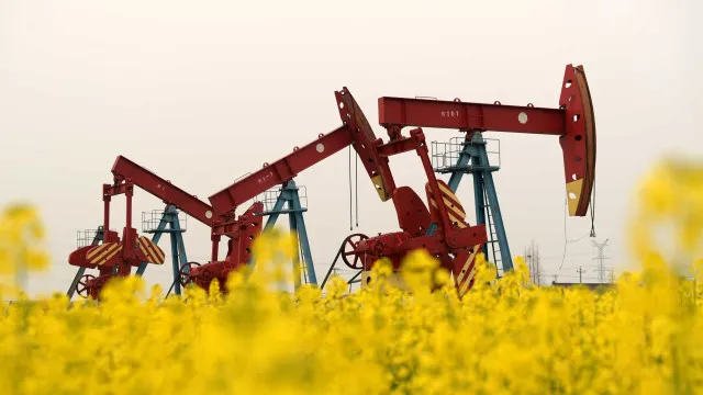 
                    Após Portugal pedir, Bruxelas afasta taxar lucro extra de petrolíferas
                