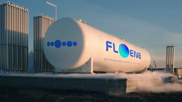 Floene alerta para "efeitos adversos" de limitaÃ§Ã£o do investimento em gÃ¡s