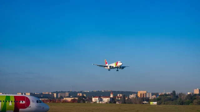 
                    Pilotos acreditam que TAP fica bem entregue após escolha da Lufthansa
                