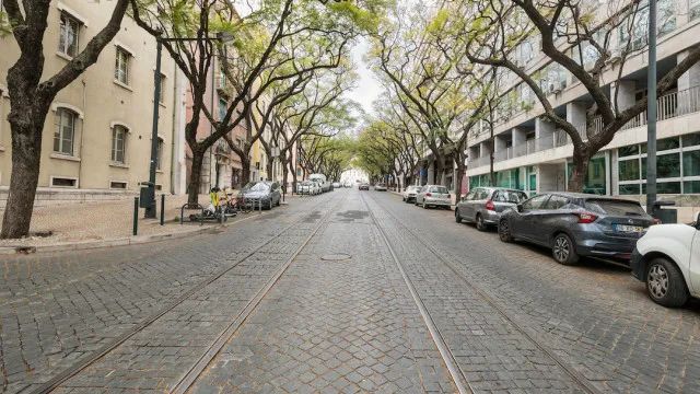 
                    Lisboa repõe circulação na D. Carlos I após obras do Metro em Santos
                