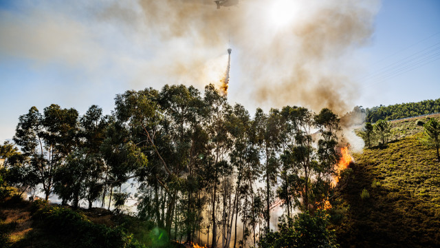 Fogo extinto em Paredes queimou 1.300 hectares no sul do concelho