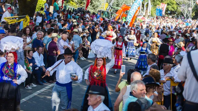 
                    Feiras Novas há 200 anos a passar testemunho geracional em Ponte de Lima
                