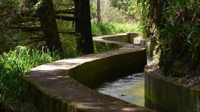 Percurso pedestre encerrado desde 2025 na Madeira reabriu hoje