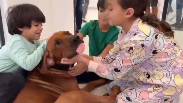 Irmãos libertados pelo Hamas reencontram família... e o cão. O momento