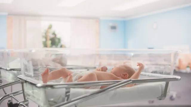 
                    Concurso para nova maternidade de Coimbra lançado nas próximas semanas
                