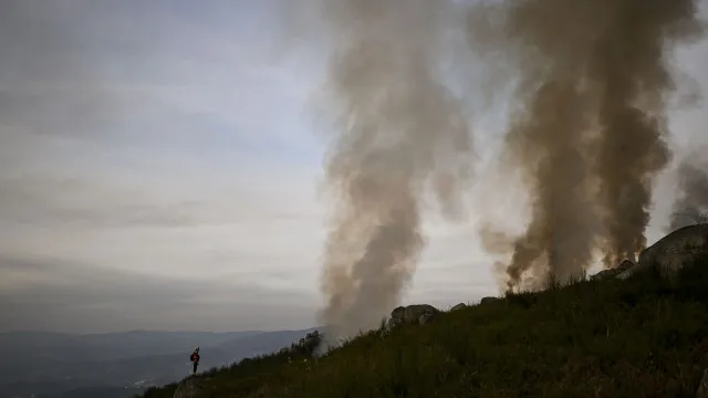 
                    Pastoreio elétrico ajuda a prevenir incêndios e a reduzir impacto do lobo
                