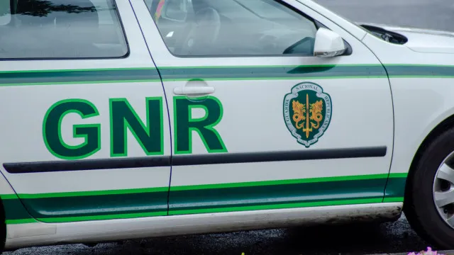 
                    GNR confirma percevejos nas instalações onde dormem futuros guardas
                