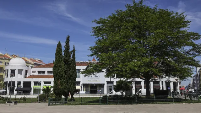 
                    Junta de Campo de Ourique nega alterar contratos de monitores
                